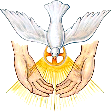 Image Ordination